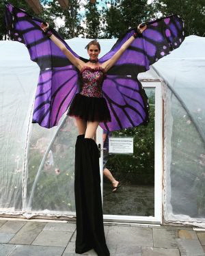 ButterflyOnStilts_mo