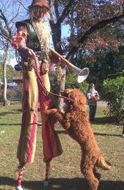 stiltwalker3 stiltwalker3